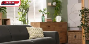  Chọn cây hợp mệnh Kim trong trang trí không gian sống