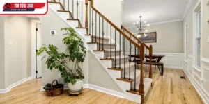 Những loại cây phong thủy phổ biến và ý nghĩa không thể ngờ