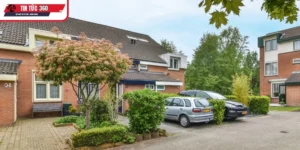 Cây kiêng kỵ trồng trước nhà theo phong thủy cổ truyền