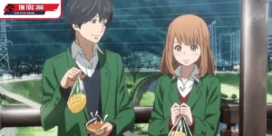 Những yếu tố tạo nên sức hút 