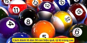 Cách đánh lô dàn 50 con hiệu quả, tỷ lệ trúng cao